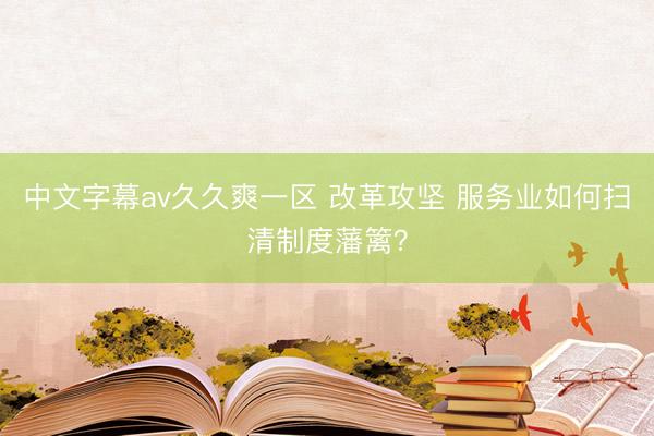中文字幕av久久爽一区 改革攻坚 服务业如何扫清制度藩篱？
