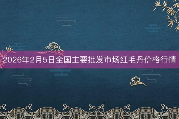 2026年2月5日全国主要批发市场红毛丹价格行情