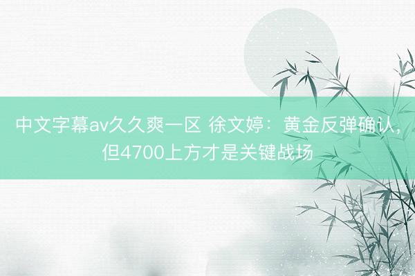 中文字幕av久久爽一区 徐文婷：黄金反弹确认，但4700上方才是关键战场