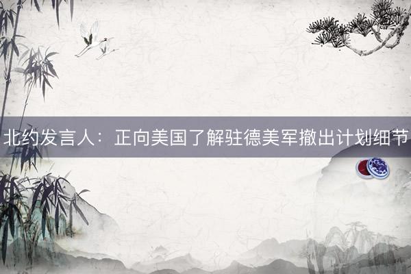 北约发言人：正向美国了解驻德美军撤出计划细节
