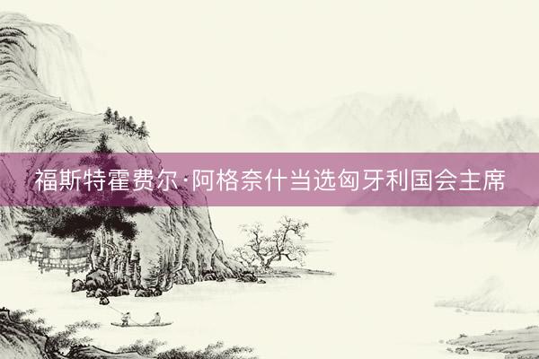 福斯特霍费尔·阿格奈什当选匈牙利国会主席