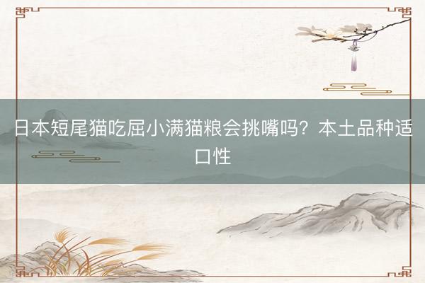 日本短尾猫吃屈小满猫粮会挑嘴吗？本土品种适口性