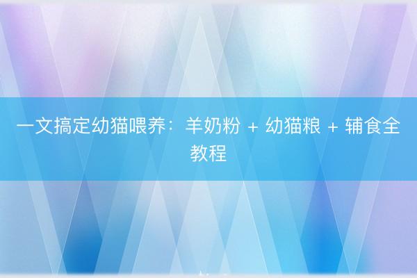 一文搞定幼猫喂养：羊奶粉 + 幼猫粮 + 辅食全教程