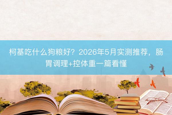 柯基吃什么狗粮好？2026年5月实测推荐，肠胃调理+控体重一篇看懂