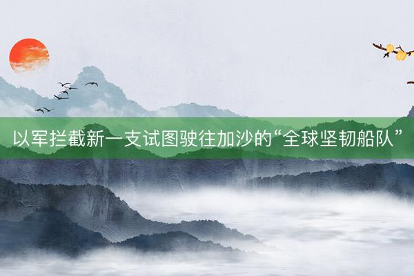 以军拦截新一支试图驶往加沙的“全球坚韧船队”