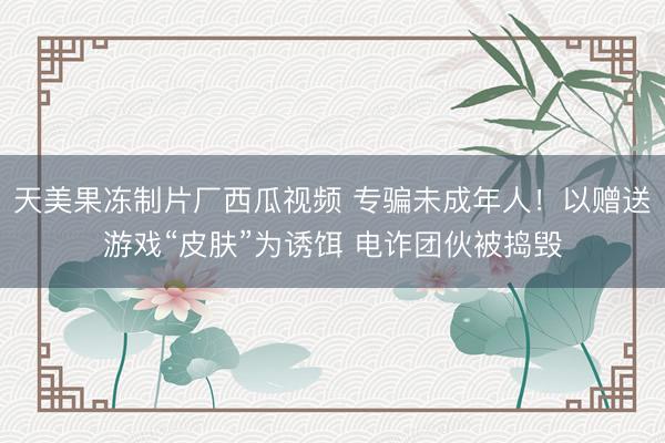 天美果冻制片厂西瓜视频 专骗未成年人！以赠送游戏“皮肤”为诱饵 电诈团伙被捣毁