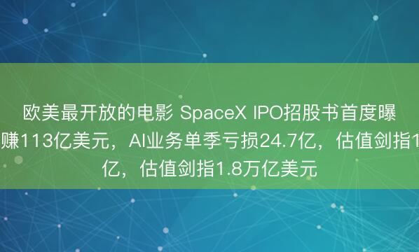 欧美最开放的电影 SpaceX IPO招股书首度曝光：星链年赚113亿美元，AI业务单季亏损24.7亿，估值剑指1.8万亿美元