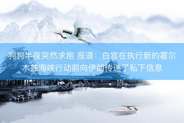 狗狗半夜突然求抱 报道：白宫在执行新的霍尔木兹海峡行动前向伊朗传递了私下信息