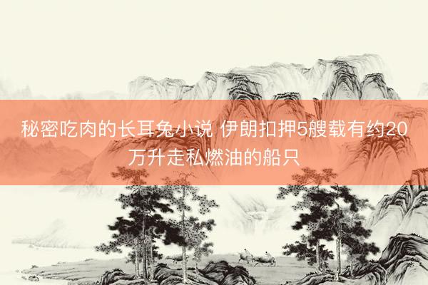 秘密吃肉的长耳兔小说 伊朗扣押5艘载有约20万升走私燃油的船只