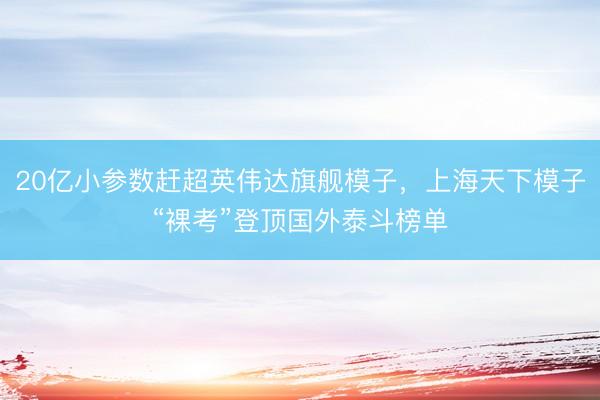 20亿小参数赶超英伟达旗舰模子，上海天下模子“裸考”登顶国外泰斗榜单