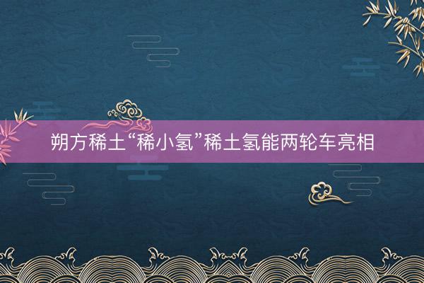 朔方稀土“稀小氢”稀土氢能两轮车亮相