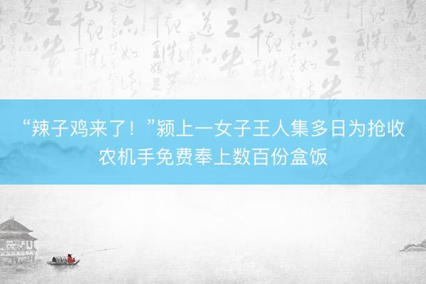“辣子鸡来了！”颍上一女子王人集多日为抢收农机手免费奉上数百份盒饭