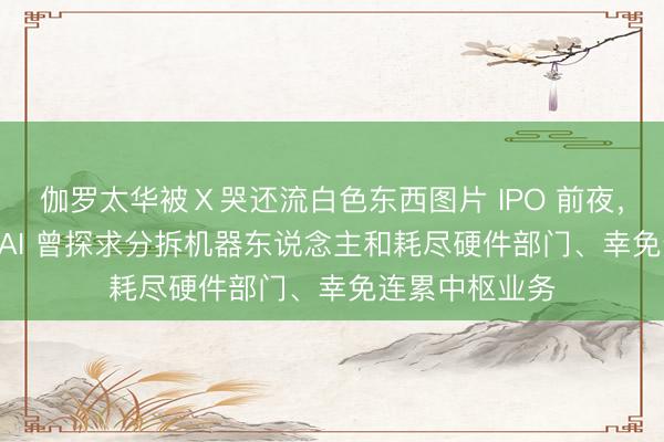 伽罗太华被Ⅹ哭还流白色东西图片 IPO 前夜，讯息称 OpenAI 曾探求分拆机器东说念主和耗尽硬件部门、幸免连累中枢业务