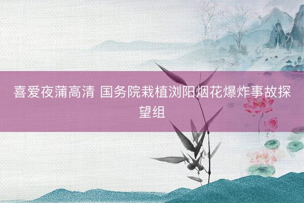 喜爱夜蒲高清 国务院栽植浏阳烟花爆炸事故探望组