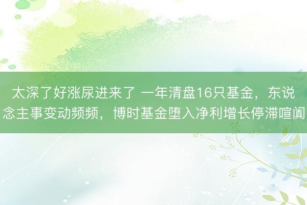 太深了好涨尿进来了 一年清盘16只基金，东说念主事变动频频，博时基金堕入净利增长停滞喧阗