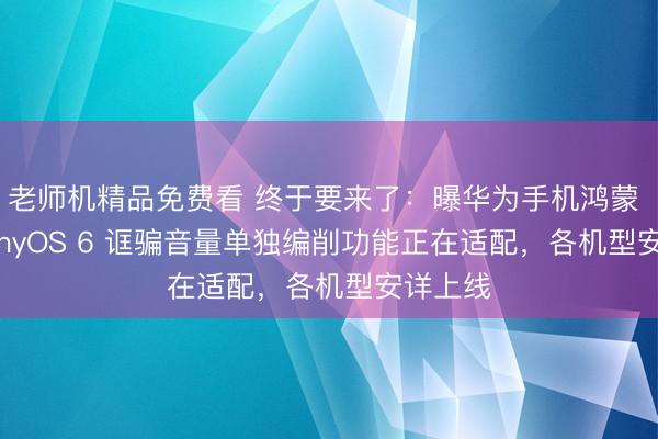 老师机精品免费看 终于要来了：曝华为手机鸿蒙 HarmonyOS 6 诓骗音量单独编削功能正在适配，各机型安详上线
