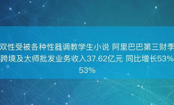 双性受被各种性器调教学生小说 阿里巴巴第三财季跨境及大师批发业务收入37.62亿元 同比增长53%