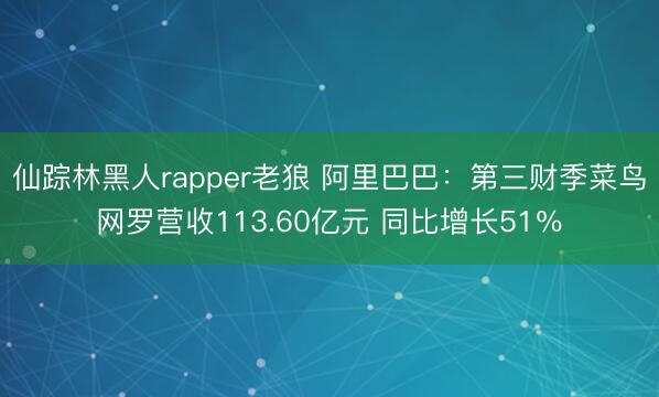 仙踪林黑人rapper老狼 阿里巴巴：第三财季菜鸟网罗营收113.60亿元 同比增长51％