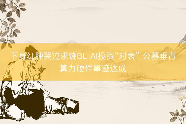 下身红肿哭泣求饶BL AI投资“对表” 公募垂青算力硬件事迹达成
