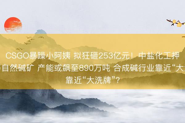 CSGO暴躁小阿姨 拟狂砸253亿元!中盐化工押注超等自然碱矿 产能或飙至890万吨 合成碱行业靠近“大洗牌”?