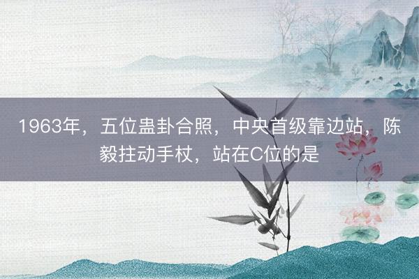 1963年，五位蛊卦合照，中央首级靠边站，陈毅拄动手杖，站在C位的是