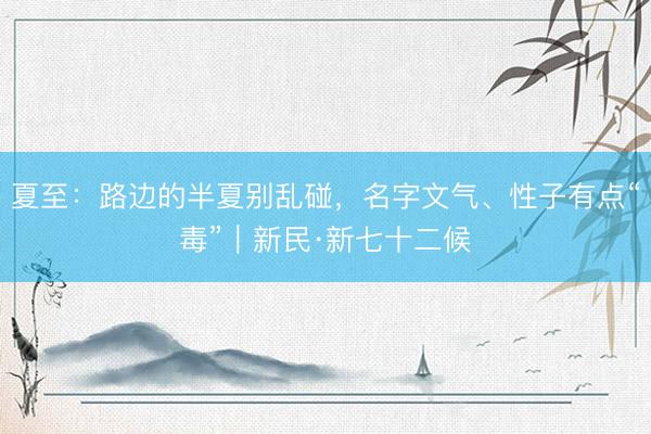 夏至:路边的半夏别乱碰,名字文气、性子有点“毒”|新民·新七十二候