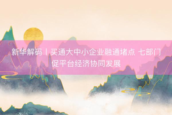 新华解码丨买通大中小企业融通堵点 七部门促平台经济协同发展