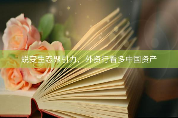 蜕变生态聚引力，外资行看多中国资产