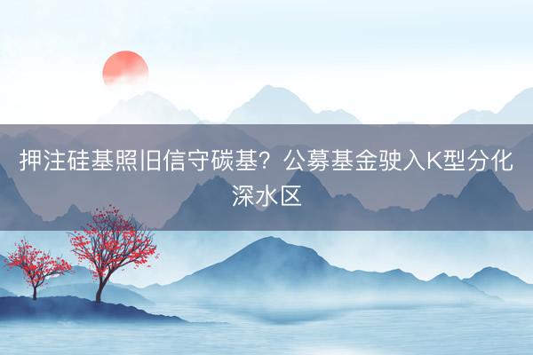 押注硅基照旧信守碳基？公募基金驶入K型分化深水区